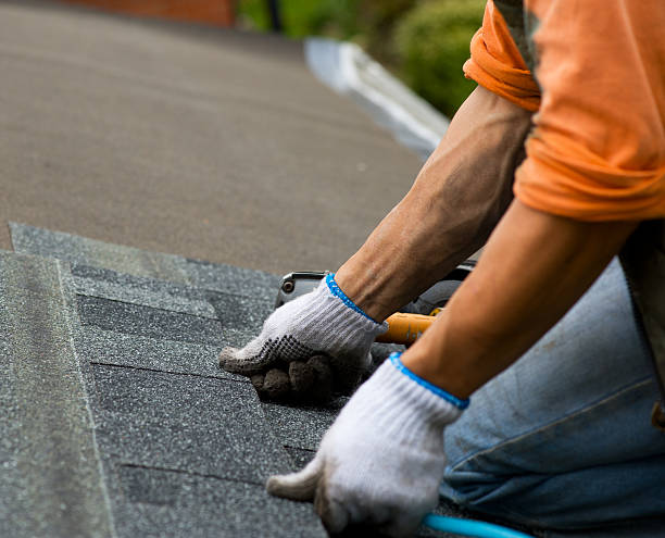 Best Roof Gutter Cleaning  in Und City, MO